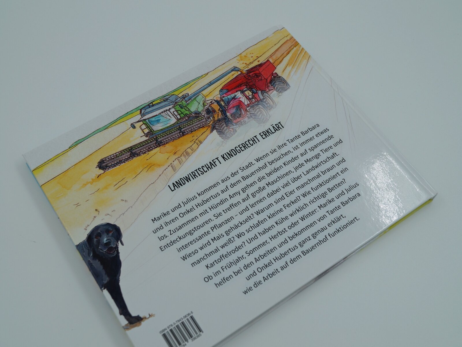 lesen