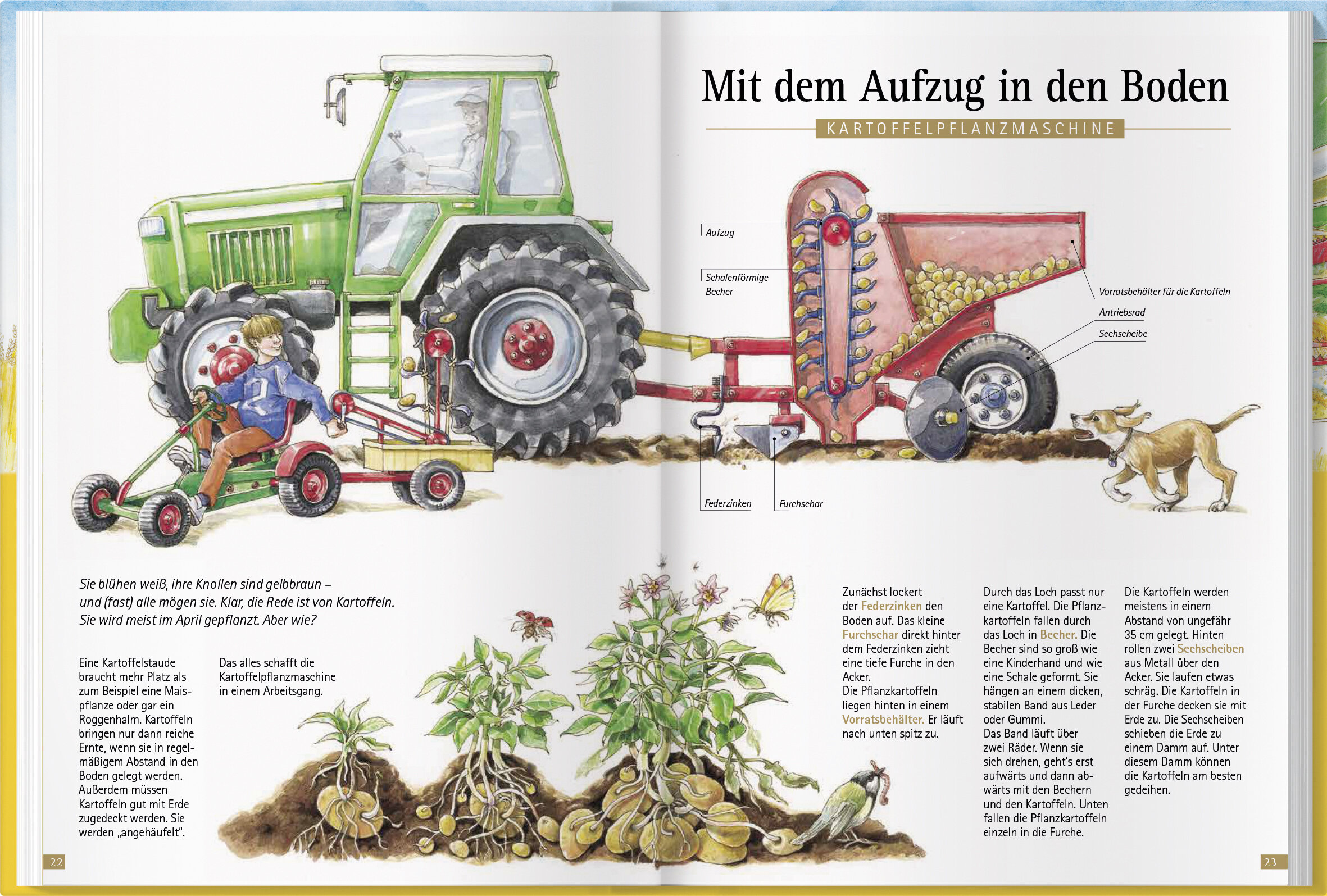 lesen