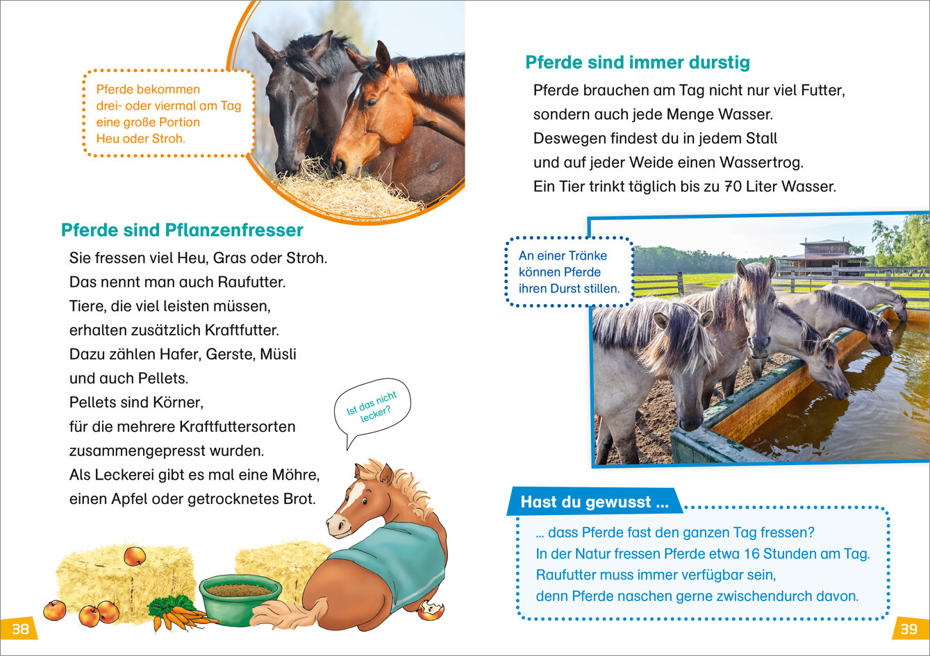lesen
