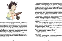 Innenansicht 1