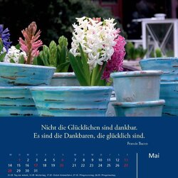 Innenansicht 5