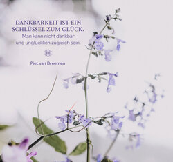 Innenansicht 5