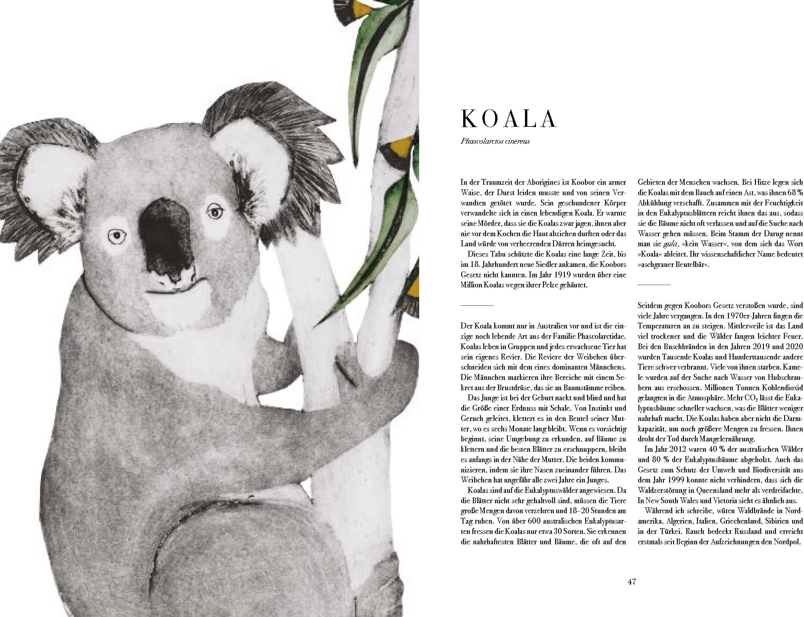 lesen