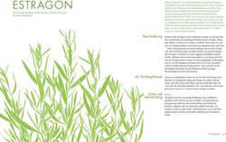 Innenansicht 9