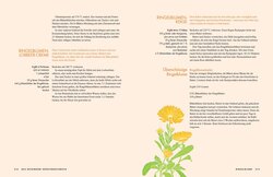 Innenansicht 14