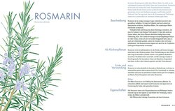 Innenansicht 15