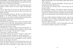 Innenansicht 6