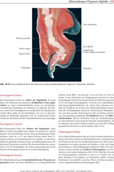 Leseprobe 3