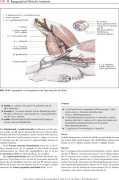 Leseprobe 4