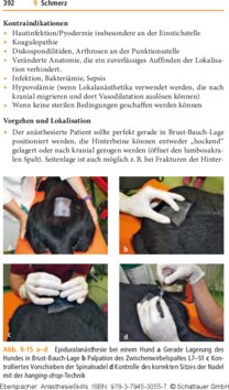 Leseprobe 2