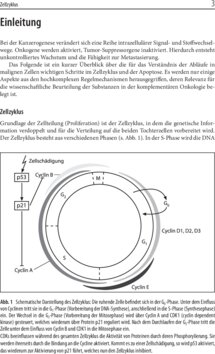 Leseprobe 1