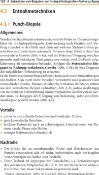 Leseprobe 4