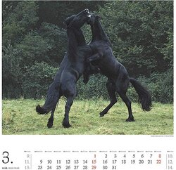 Innenansicht 3