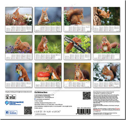 Backcover