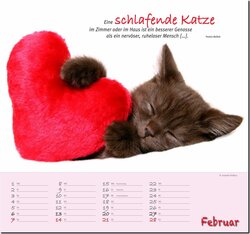 Innenansicht 2
