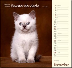 Innenansicht 11