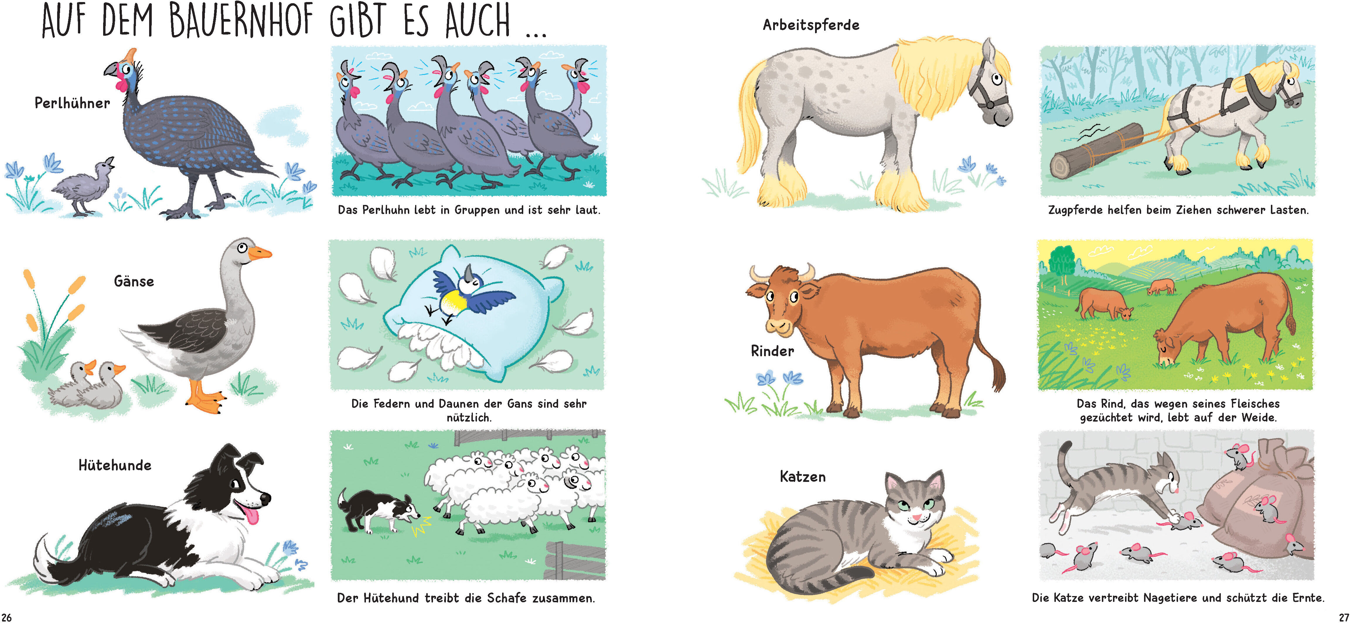 lesen