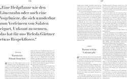 Innenansicht 7