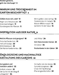 Inhaltsverzeichnis 1