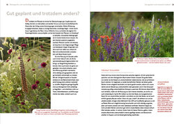 Innenansicht 2
