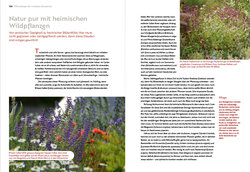 Innenansicht 7