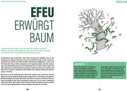 Innenansicht 4