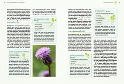 Innenansicht 6