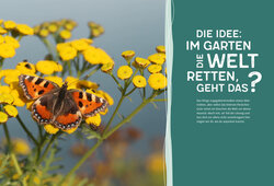 Innenansicht 1