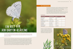 Innenansicht 5