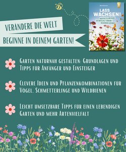 Innenansicht 7