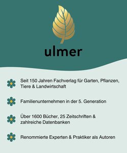Innenansicht 8