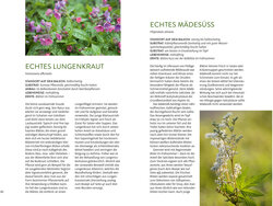 Innenansicht 7
