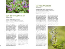 Innenansicht 5