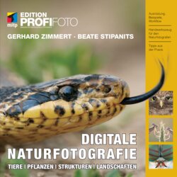 Leseprobe 2