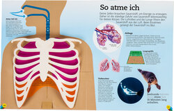 Innenansicht 2