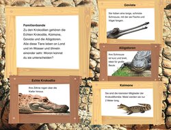 Innenansicht 5