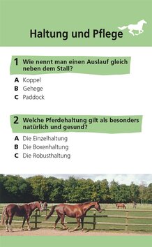 Innenansicht 2