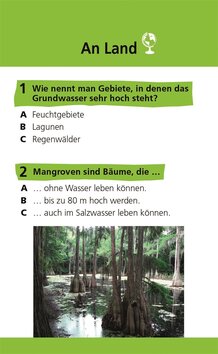 Innenansicht 2