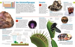 Innenansicht 6