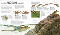 Innenansicht 5