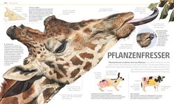 Innenansicht 8