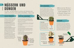 Innenansicht 5