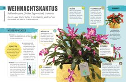 Innenansicht 8