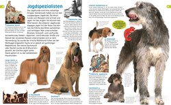 Innenansicht 7