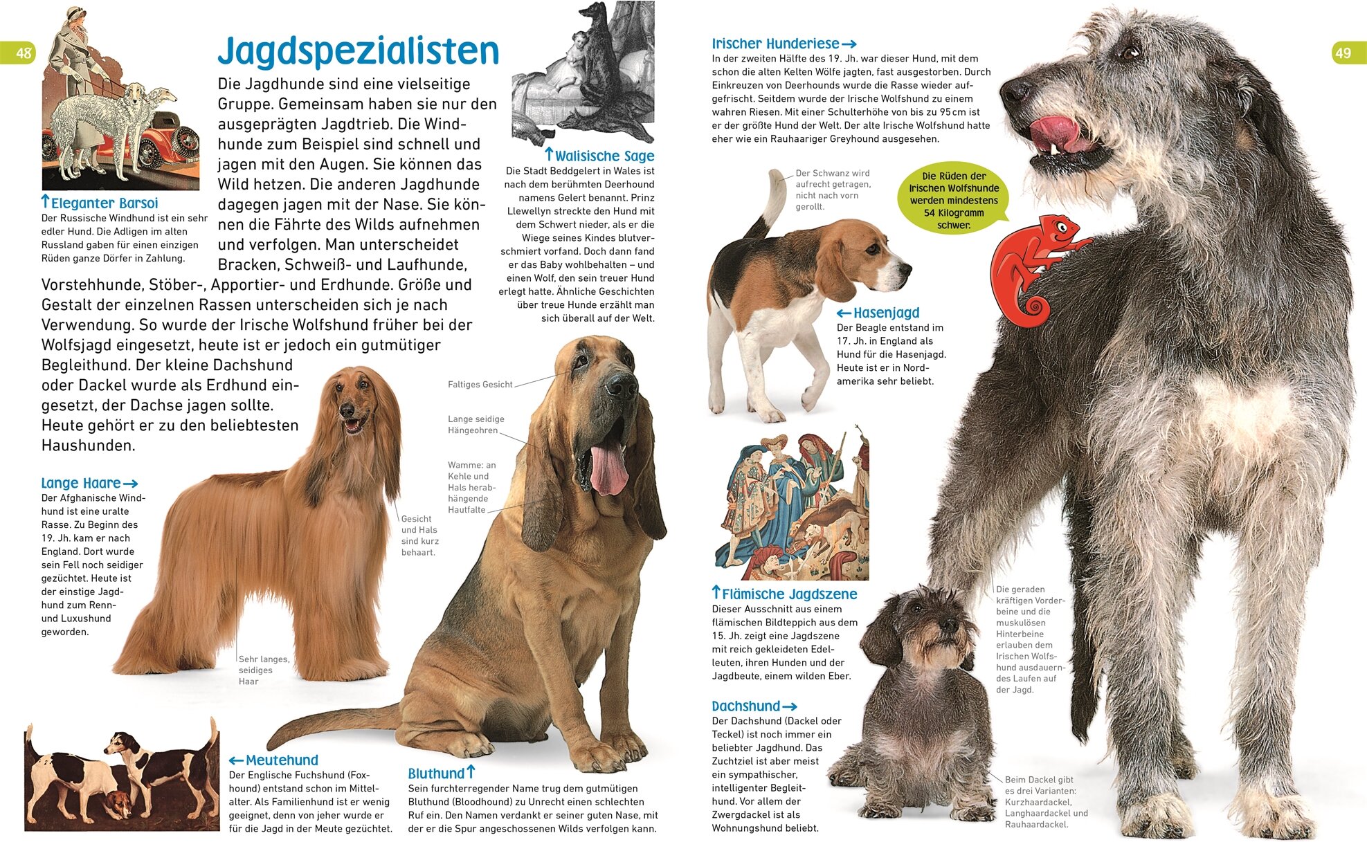 lesen