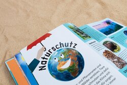 Innenansicht 10