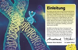 Innenansicht 2