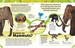 Innenansicht 8