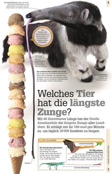Innenansicht 4