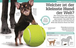 Innenansicht 6